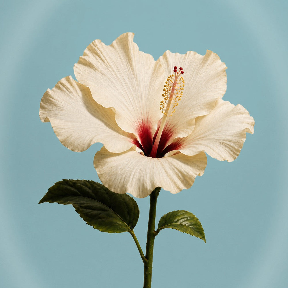 The Science Behind Droo Haircare Ingredients
